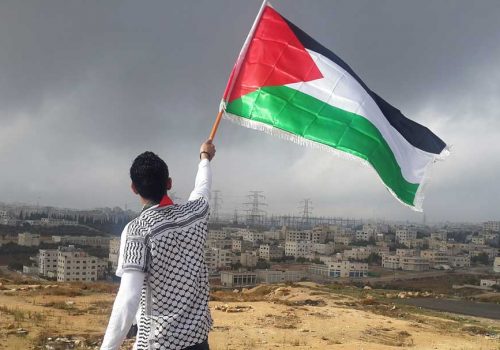 palestine-flag-massa-viana-law